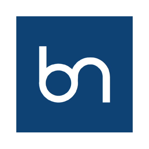 Biznet Consulting logo